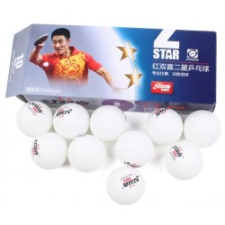 Мячи  DHS ( 2** 40+ ITTF пачка 10 шт. белые)