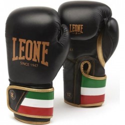 Боксерские перчатки Leone Italy  10 ун.