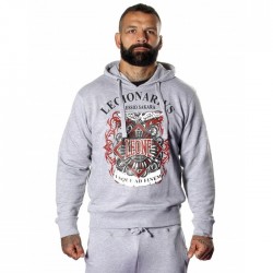 Толстовка Leone Legionarivs Fleece Grey S
