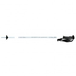 Палиці г/л Blizzard Viva White 115