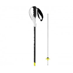 Горнолыжные палки HEAD (381346) HEAD WC SL Protector 2017