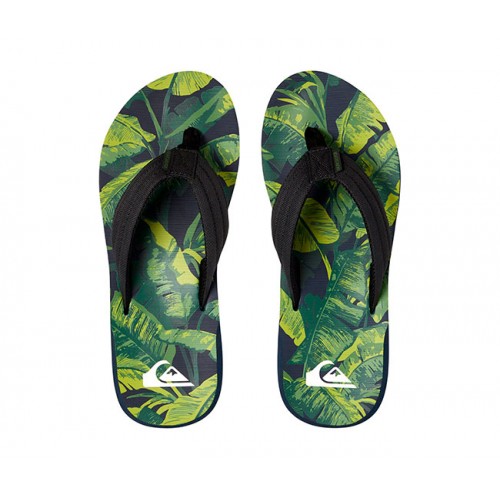  В'єтнамки Quiksilver (AQYL100559) CARVER PRINT M 2018 – фото 1
