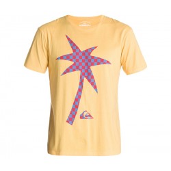 Футболка Quiksilver SS BASIC TEE R5 M TEES'14