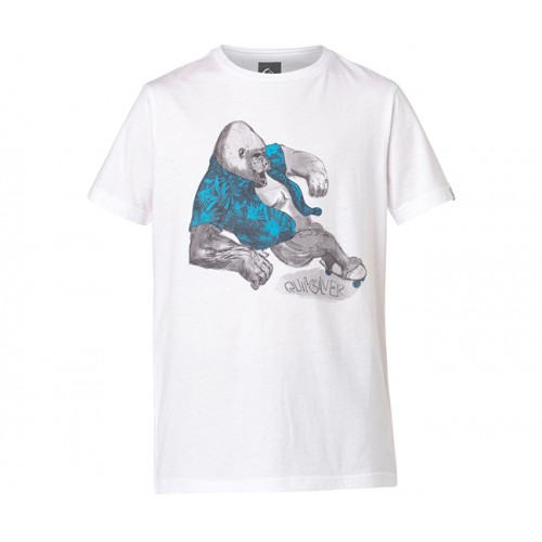  Футболка Quiksilver QS T YTH F15 B TEES'15 (дитяче) – фото 1