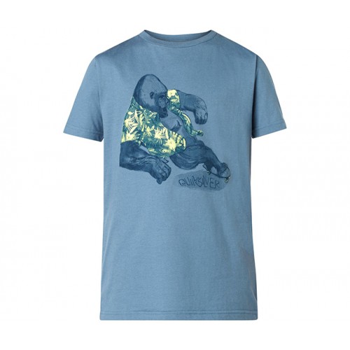  Футболка Quiksilver QS T YTH F15 B TEES'15 (дитяче) – фото 2
