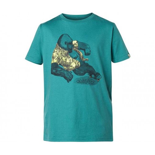  Футболка Quiksilver QS T YTH F15 B TEES'15 (дитяче) – фото 3