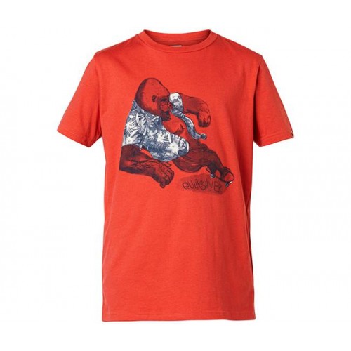  Футболка Quiksilver QS T YTH F15 B TEES'15 (дитяче) – фото 5