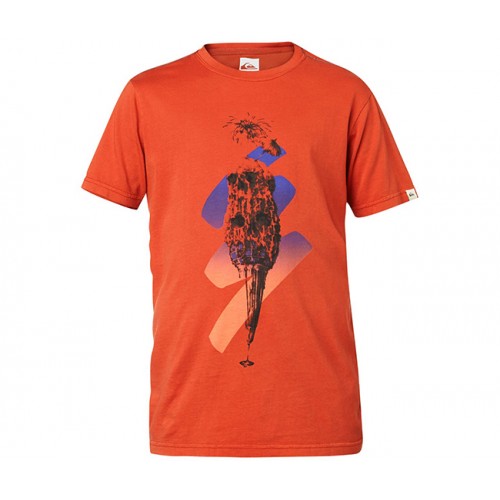  Футболка Quiksilver SS RDIE T Y K10 B TEES'15 – фото 2