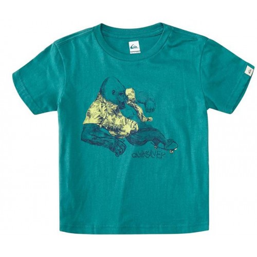  Футболка Quiksilver SS QS T BOY F20 K TEES'15 - фото 1
