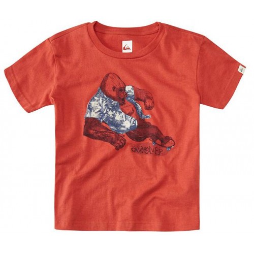  Футболка Quiksilver SS QS T BOY F20 K TEES'15 - фото 2