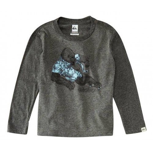  Футболка Quiksilver LS QS T BOY G14 K TEES'15 - фото 1