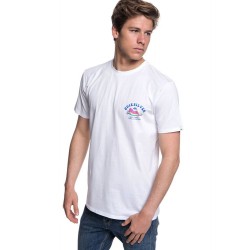 Футболка Quiksilver (EQYZT04953) FISHANDCHICKSS M TEES 2019