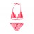 Купальник раздельный Roxy Tiki Tri Set G'14 Купальник раздельный Roxy Tiki Tri Set G'14