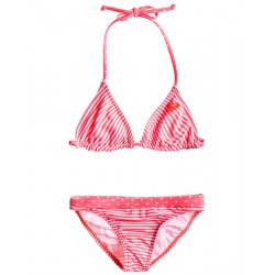 Купальник роздільний Roxy Tiki Tri Set G'14
