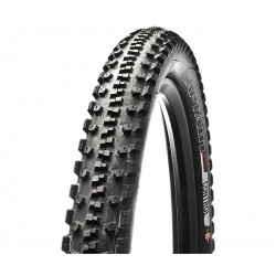 Tire Specialized THE CAPTAIN SW 2BLISS TIRE'09