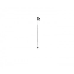 Ski poles ATOMIC D2'10