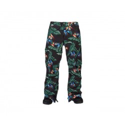 Snowboard pants BURTON M AK 2L CYCLIC PT'15