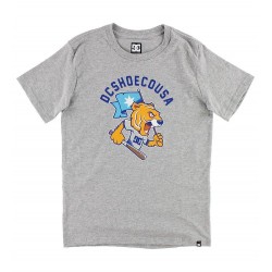Футболка DC (EDBZT03290) TRYGER SS BOY B TEES 2019