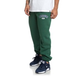Спортивні штани DC (EDYFB03054) GLENRIDGE PANT M OTLR 2019