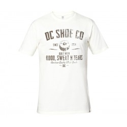 Футболка DC BEARING SS M TEES'15