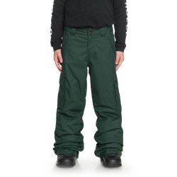 Snowboard pants DC ( EDBTP03009 ) BANSHEE YOUTH B SNPT 2019 (kids)