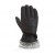 Сноубордические перчатки DAKINE (10000716) ALERO GLOVE'17 Сноубордические перчатки DAKINE (10000716) ALERO GLOVE'17