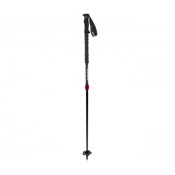 Ski poles Fizan REVO 2 2014